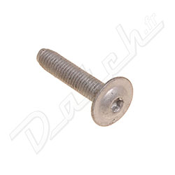 SCREW-TORX FLANGE