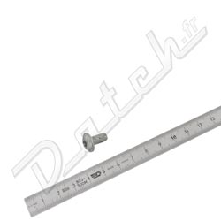 VIS TORX M6 X 12 LOQUET DE CAPOT MINI 1996-2000