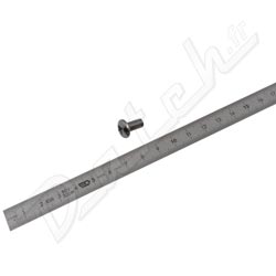 SCREW-PAN NO10 X 3/8(C/P)