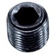 PLUG 5/8UNF X 5/8 SCREW INLET MANIFOLD & CYL HEAD BY PASS