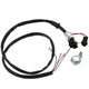 HEADLAMP WIRING LOOM &PILOT LIGHT