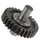 PIGNON FOU MINI (TAILLE DROITE)  PRE A+