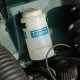 TUDOR DECAL FOR WASHER BOTTLE