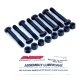 CON ROD BOLT SET 1275CC NOT "S" ARP NUT/BOLT SET