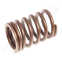 VALVE SPRING