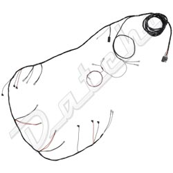 LOOM-BODY TR6PI CR1>