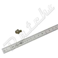 VIS HEXAGONALE A EMBASE M6 x 10mm