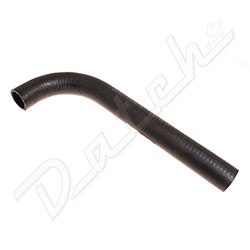 BOTTOM HOSE VITESSE REPRO