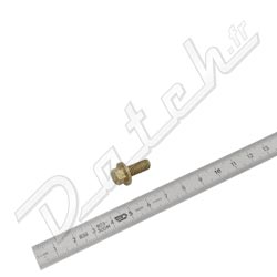 VIS HEXAGONALE A EMBASE M6 x 14mm