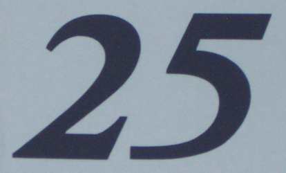AUTOCOLLANT LATERAL "25" (GRIS)