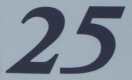 AUTOCOLLANT LATERAL "25" (GRIS)