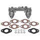MANIFOLD-INLET