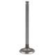 SOUPAPE TR5-TR6/GT6 117x7,9mm (SIMPLE GORGE) 36,6mm (ADMISSION)
