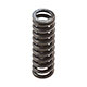 SELECTOR SPRING TR2-TR3-TR4-TR5-TR6