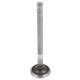 SOUPAPE TR5-TR6/GT6/VITESSE 117x7,9mm (SIMPLE GORGE) 30.3MM (ECHAPPEMENT)