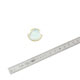 PASTILLE DE DESSABLAGE (DISH) 28.57mm (1-1/8) MGB/SPRIGET