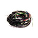 FAISCEAU ELECTRIQUE HERALD (COMPLET) 13/60 (CAG/CAD)