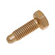 VIS DE CHARNIERE DE PORTE MGF 1996-2002