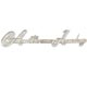 BADGE DE MALLE "AUSTIN-HEALEY"