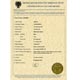 CERTIFICAT D'IDENTIFICATION VEHICULE (STANDARD)