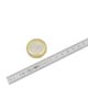 PASTILLE DE DESSABLAGE (CUP) 32mm (1.1/4) BLOC JAGUAR XK