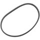 COURROIE D'ACCESSOIRES DOUBLE V 5/8 x 1010mm (JAGUAR TYPE-E)