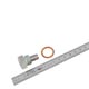 GEARBOX DRAIN PLUG MOST MODELS