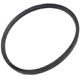 COURROIE D'ACCESSOIRES EN V 22 x  965mm (JAGUAR XK120)
