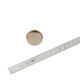 PASTILLE DE DESSABLAGE (CUP) 30.00mm (1-1/16)