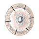 DISQUE D'EMBRAYAGE AUSTIN-HEALEY (COMPETITION) 6 BRANCHES (184mm)