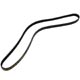 COURROIE D'ACCESSOIRES (MGF) A/C