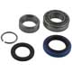 KIT DE ROULEMENT DE ROUE TR7/SD1 (ARRIERE)