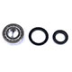 REAR WHEEL BEARING KIT TR3-TR4/DOLOMITE SPRINT (TIMKEN)