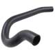 HOSE-RAD LOWER TR7