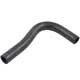 TOP HOSE MIDGET USA