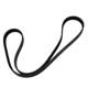 COURROIE D'ACCESSOIRES "RAINUREE" (MGF) ALTERNATEUR-A/C