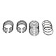 SEGMENTS MG-TB/TF (1250cc) 3 SEGMENTS (+20)