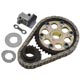 GEAR SET, Duplex, Includes Vernier adj. cam gear, tensioner and lock tab
