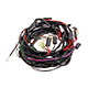 FAISCEAU ELECTRIQUE SPITFIRE (ARRIERE) 1500 (USA) FM060.007->1981