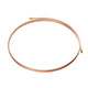 DURITE/CANALISATION D'EMBRAYAGE SPRIGET  948-1098 (CAG)