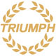 AUTOCOLLANT DE CAPOT TR7 "TRIUMPH LAURIERS" (GOLD)